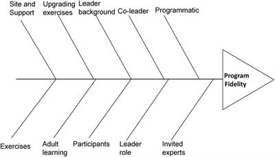 Improving Fidelity of Translation of the Stepping On Falls Prevention Program through Root Cause Analysis